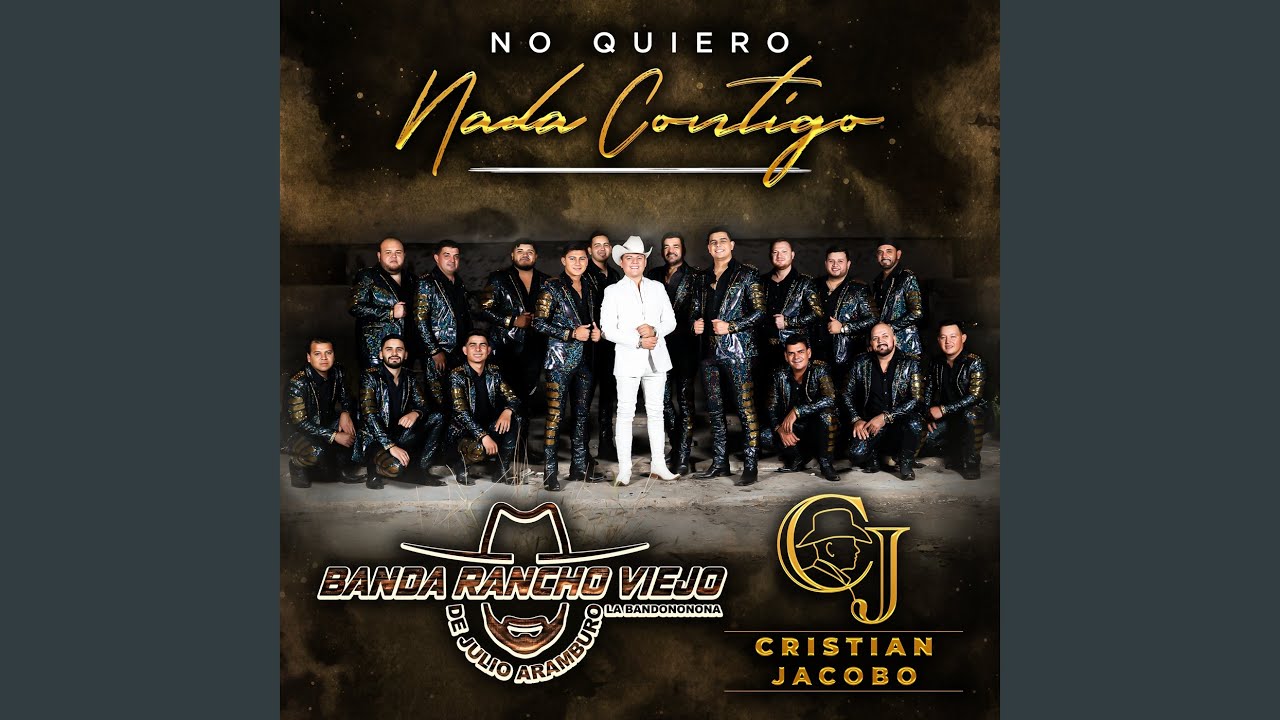 No Quiero Nada Contigo