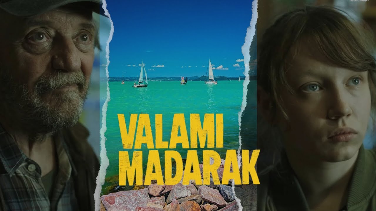 VALAMI MADARAK - EZ A MAGYAR VALÓSÁG? Nem csoda, hogy a fiatalok menekülnek...