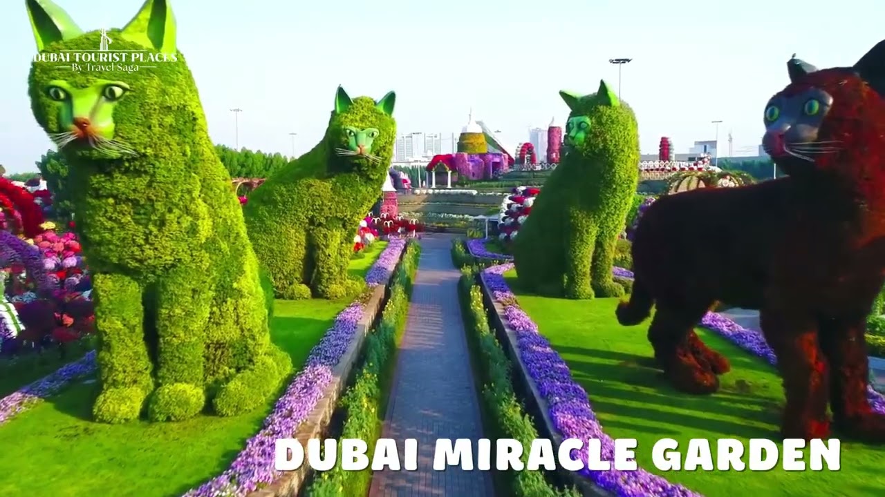 Sustainable Tourism In Dubai | Eco-Friendly Travel Experiences | Dubai Tourist Places