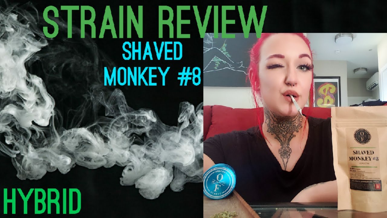 Strain Review | Shaved Monkey #8 | Eugreen Farms
