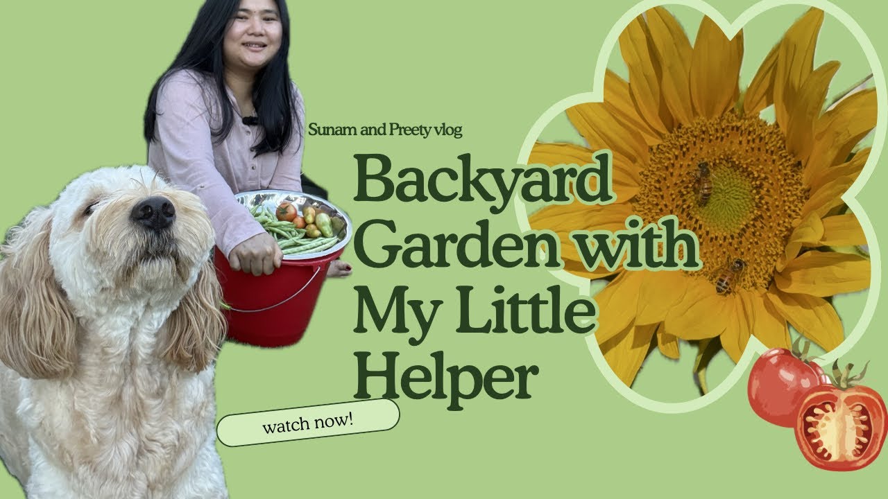 Homegrown and happiness || Backyard Garden Harvest