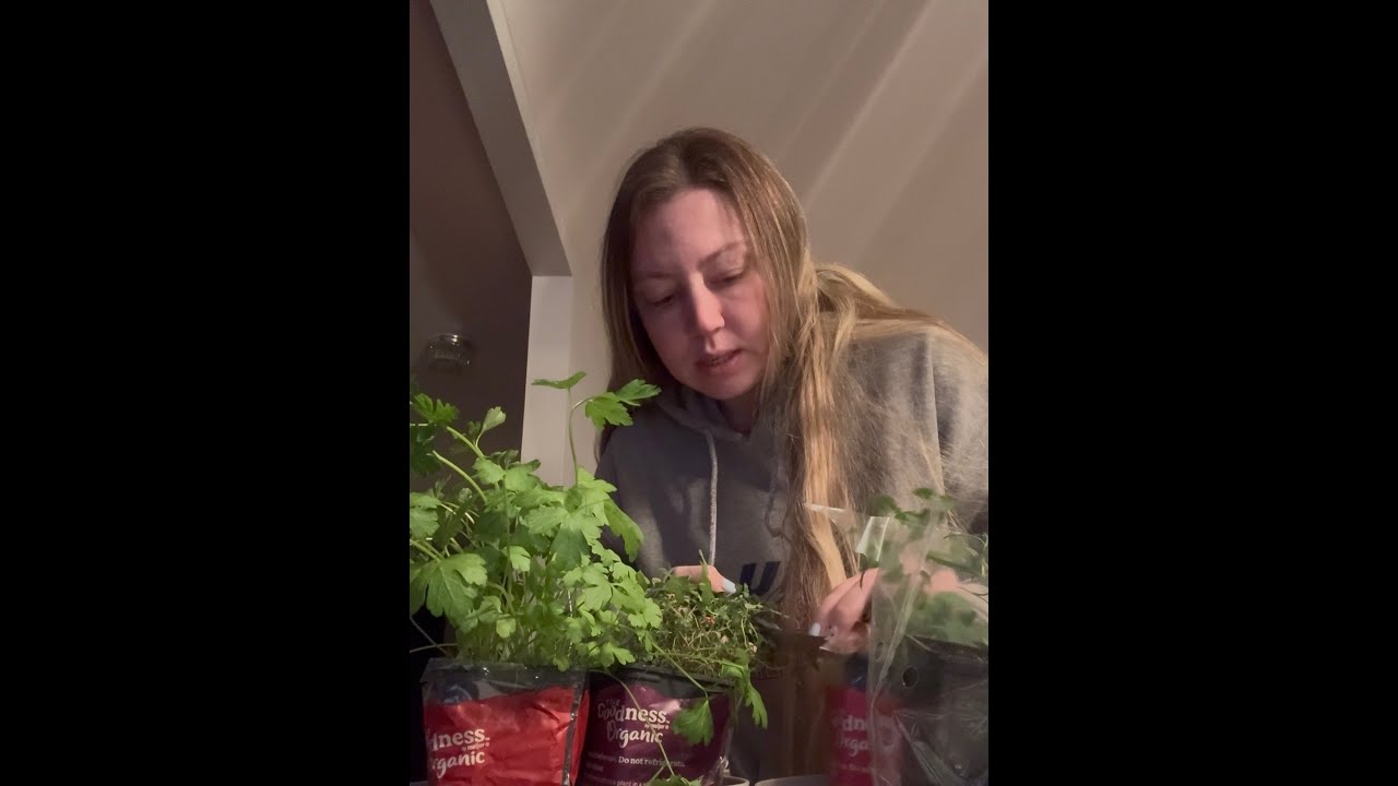 VLOG Lasagna from scratch and a tinnitus flare up