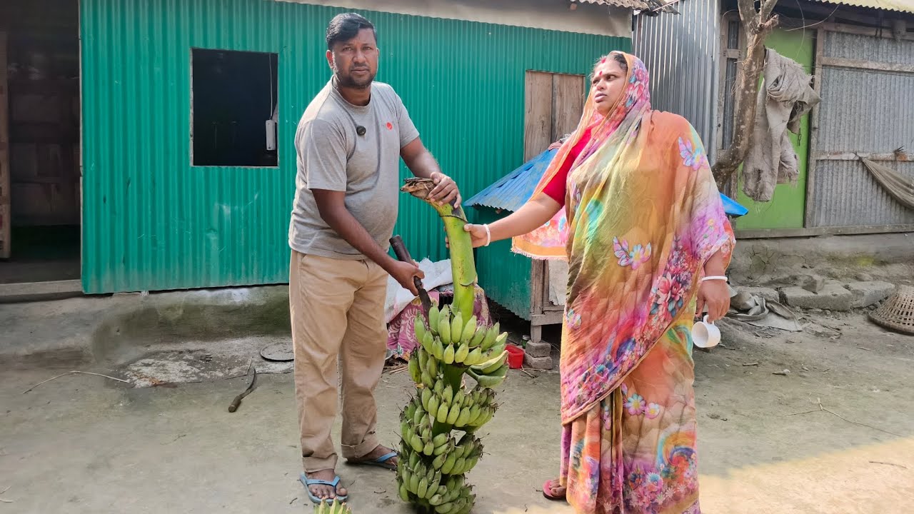 আমাদের বাড়ির গাছের পাকা কলা 🍌🌿||village vlog 