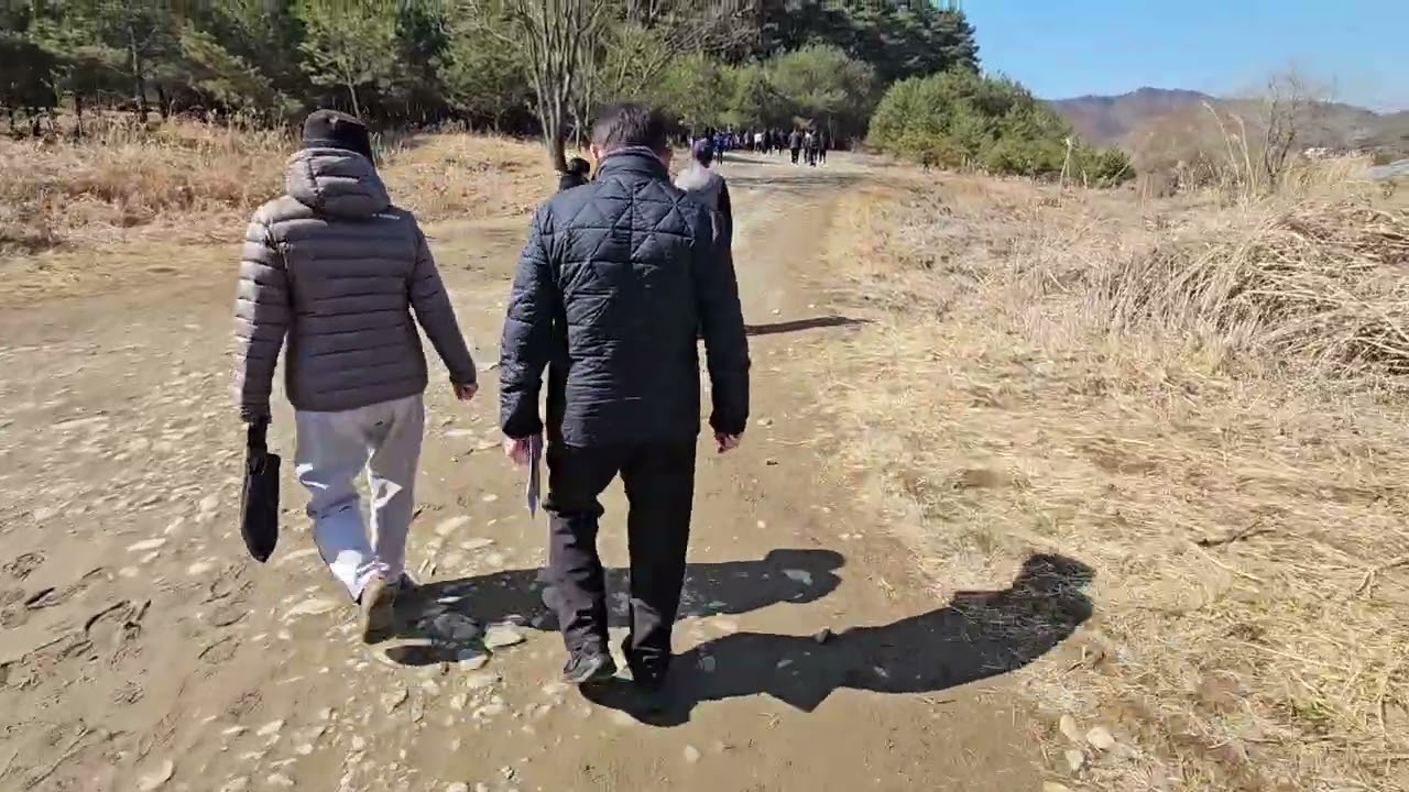 26년3월8일 영월청령포 왕과사는남자 영화 흥행으로 엄청난 관광객이 들어보니다 대박입니다