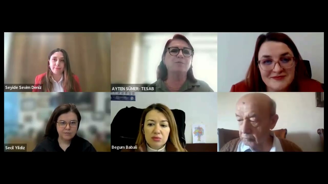 Enerji Projelerinde Sürdürülebilirlik ve Finansman Araçları