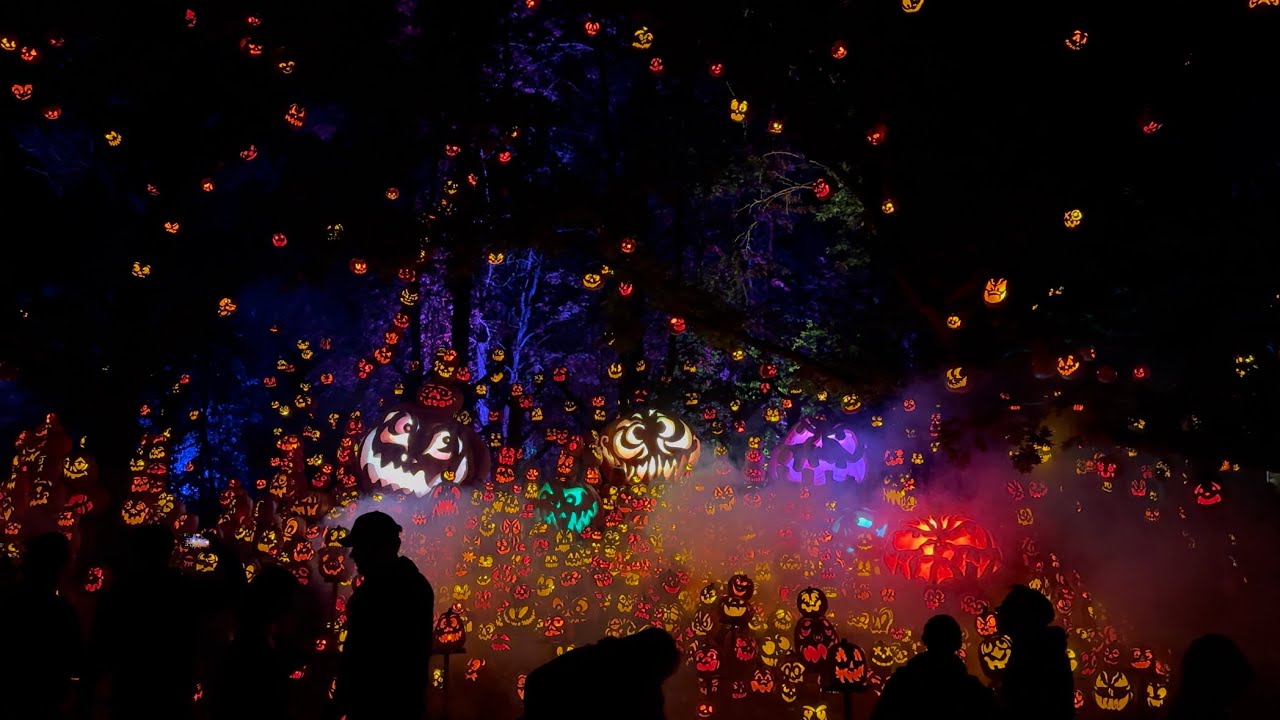Jack-O-Lantern Spectacular | Minnesota Zoo | October 7, 2024