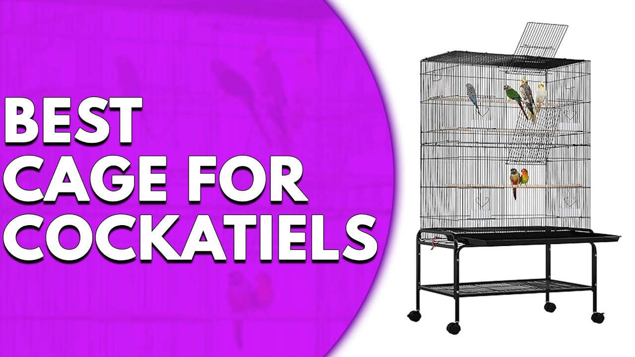 Best Cage for Cockatiels: Our Top Picks