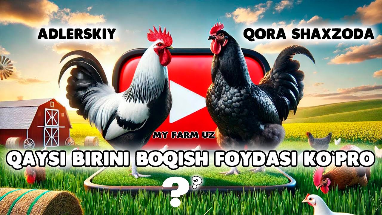 Buni Siz aniq bilmagansiz !!! (Adlerskiy va Qora Shaxzoda)