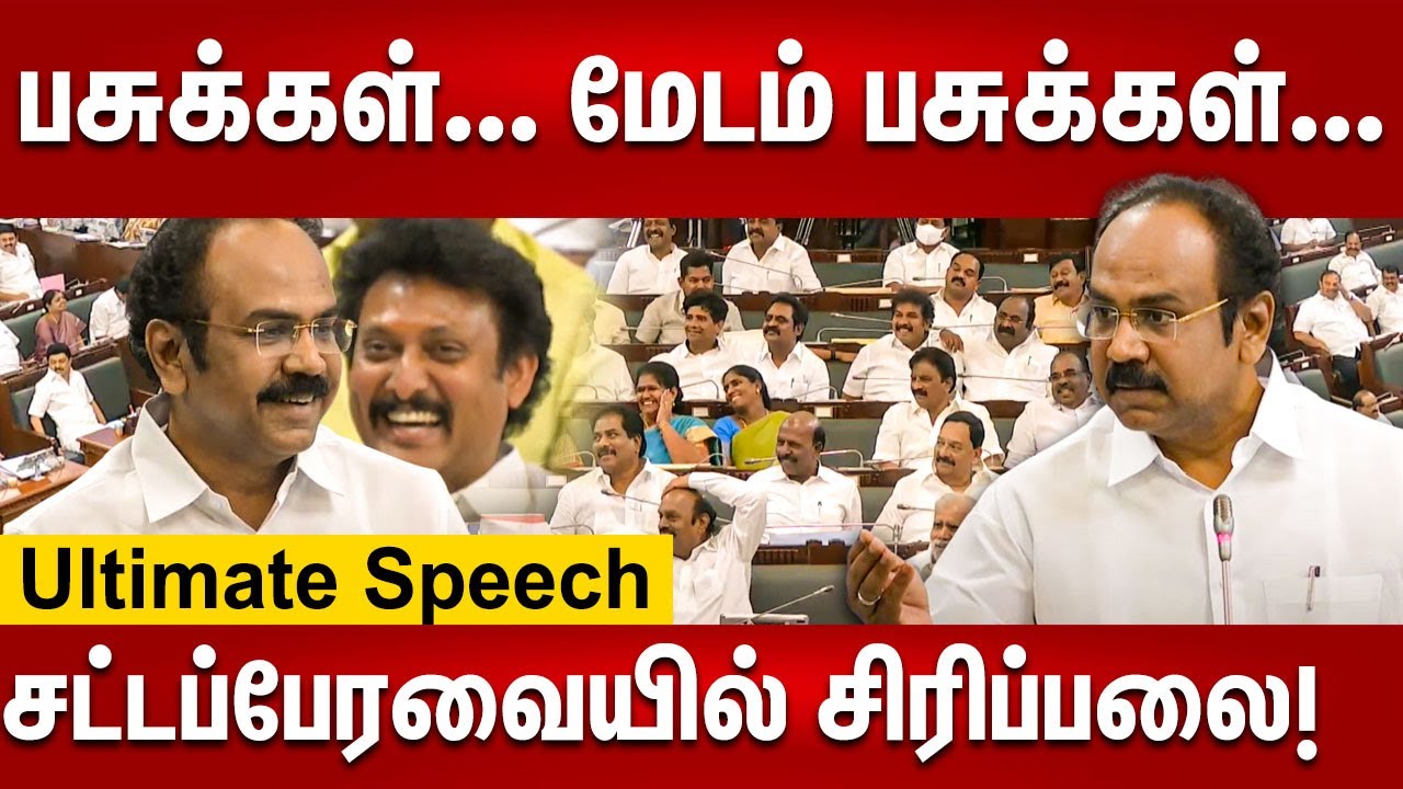 Thangam Thennarasu Ultimate Speech | மேடம் பசுக்கள்... தரமான பதிலடி | TN Assembly | DMK