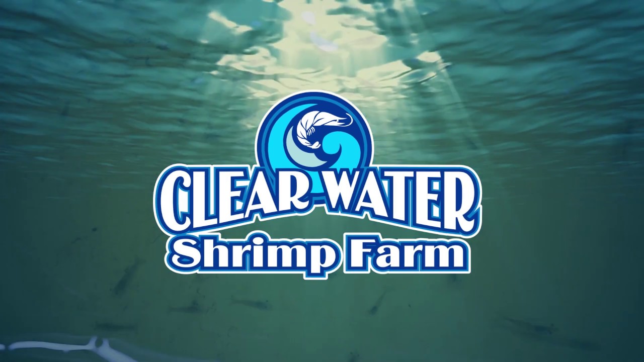 Neosho, Missouri Shrimp Farm offers All Natural, Locally Raised Shrimp