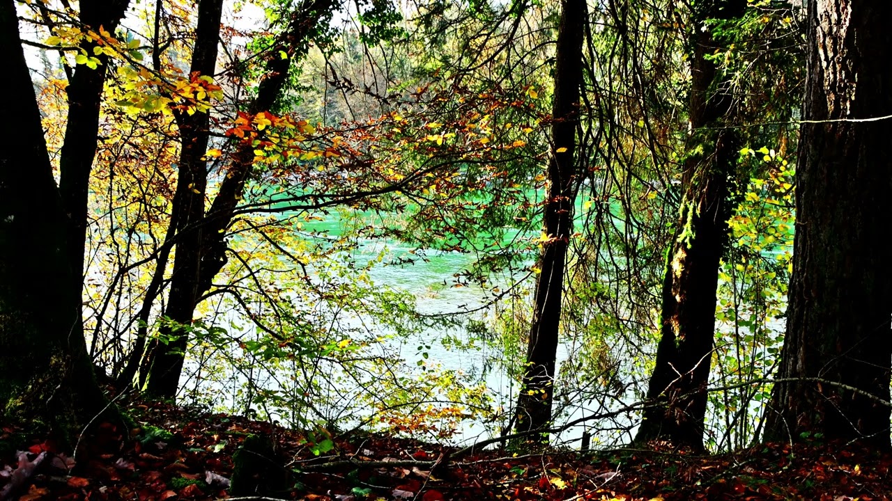 Autumn colors 3