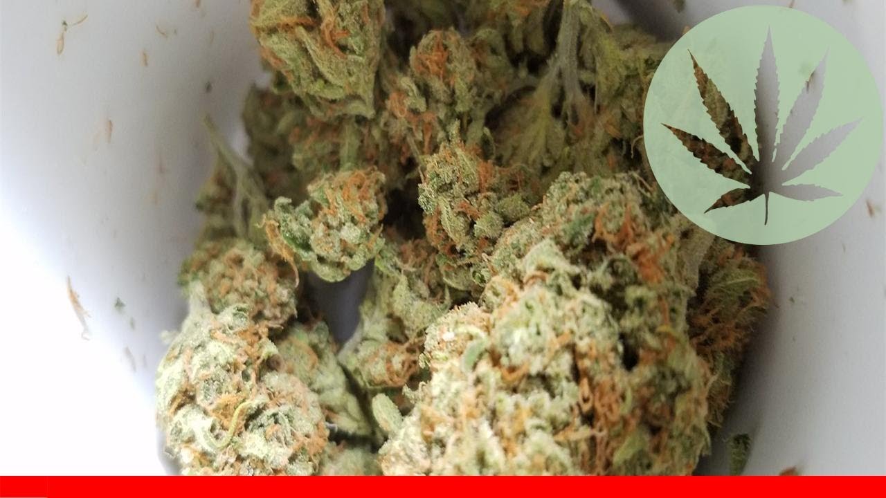 Lemon Og - All About This Strain