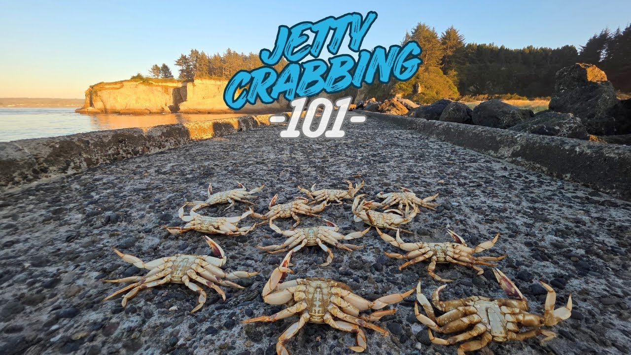 How to Catch Dungeness Crab off a Jetty or Rockwall with Crab Snares
