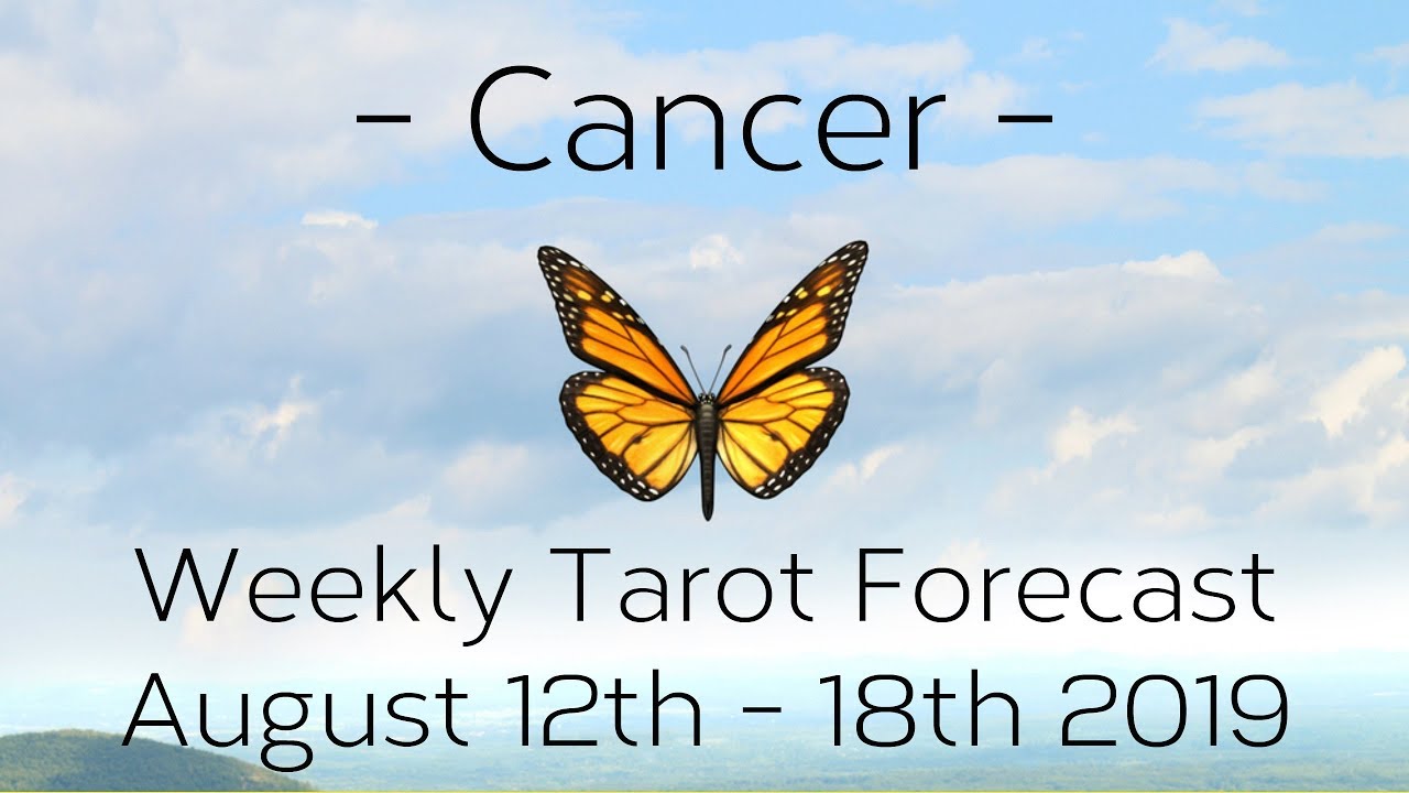 Cancer ~ Your vibe is attracting good things! ~ Weekly Tarotscope Aug 12th - 18th