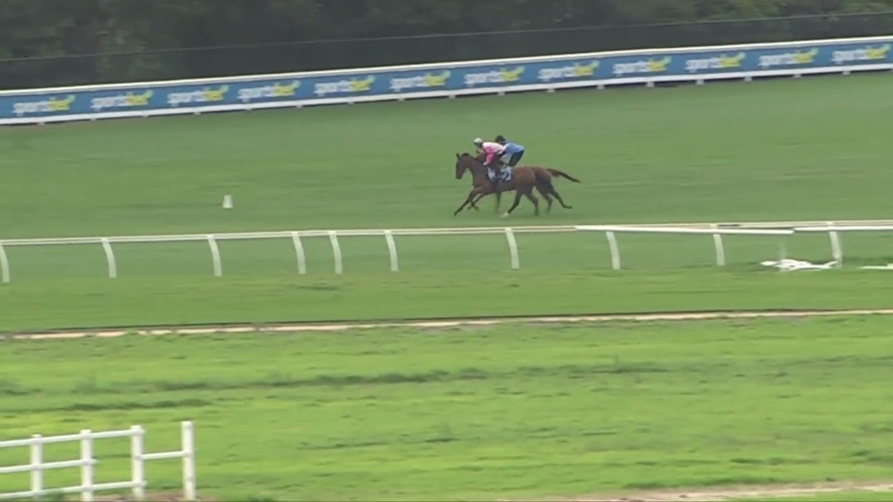 10 March    Gallops 2026    Gallop 8