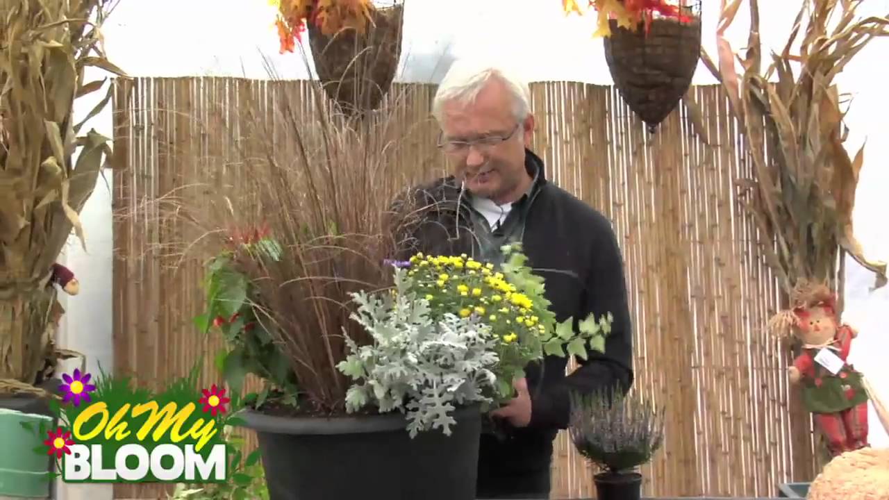 Fall Container Design