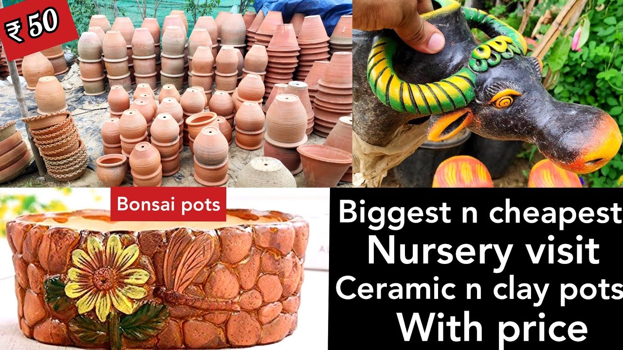 Plants pots with price, Clay pots, ceramic pots, plastic pots, cocopeat, cheapest nursery online