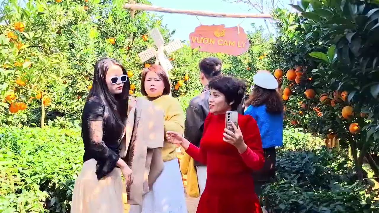 4 tháng 2, 2026