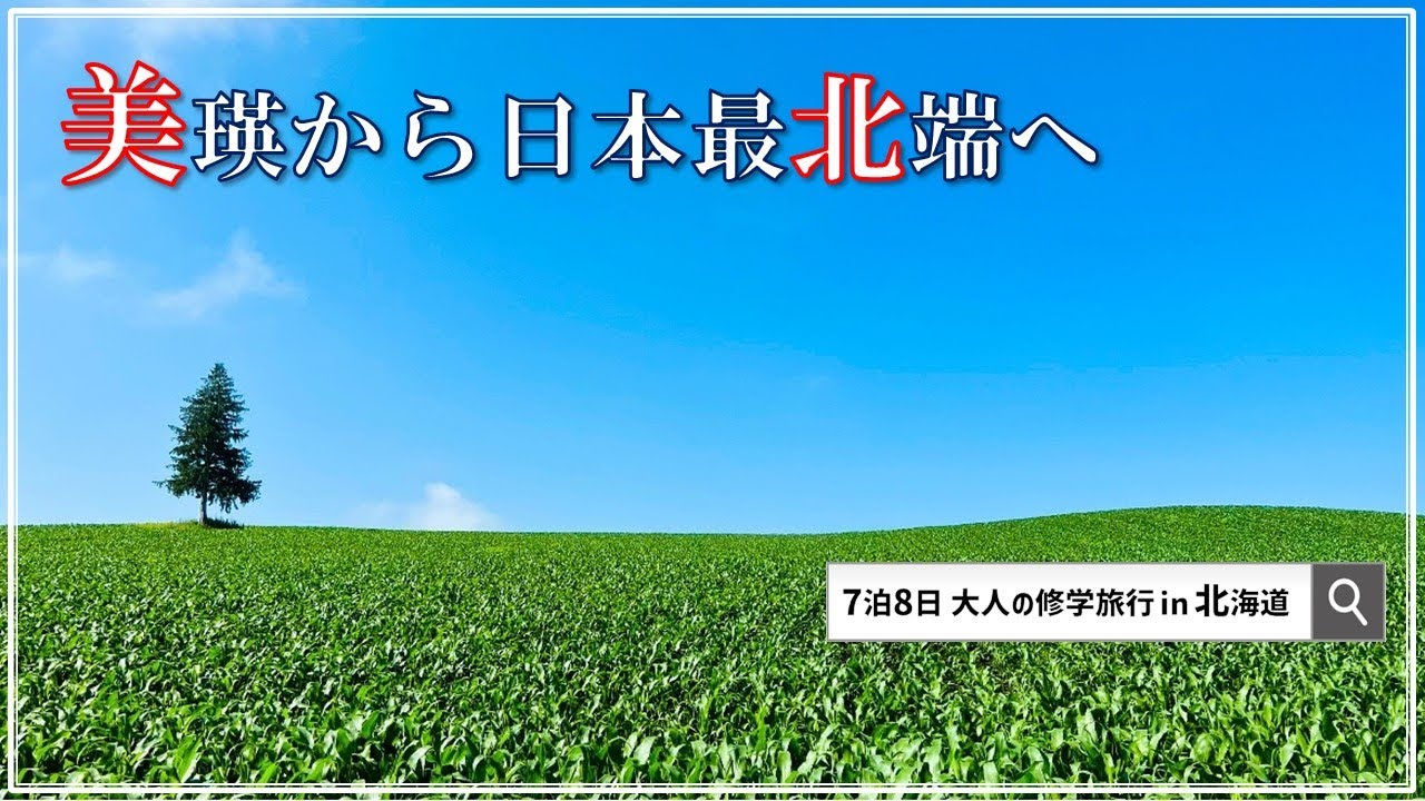 【アローン旅】７月の北海道７泊８日の旅③ 美瑛・稚内編 　美瑛の絶景 トトロ峠 オロロンライン 宗谷岬 白い道 ノシャップ岬 旅人宿ばっかす 【セミリタイアおじさんの修学旅行】