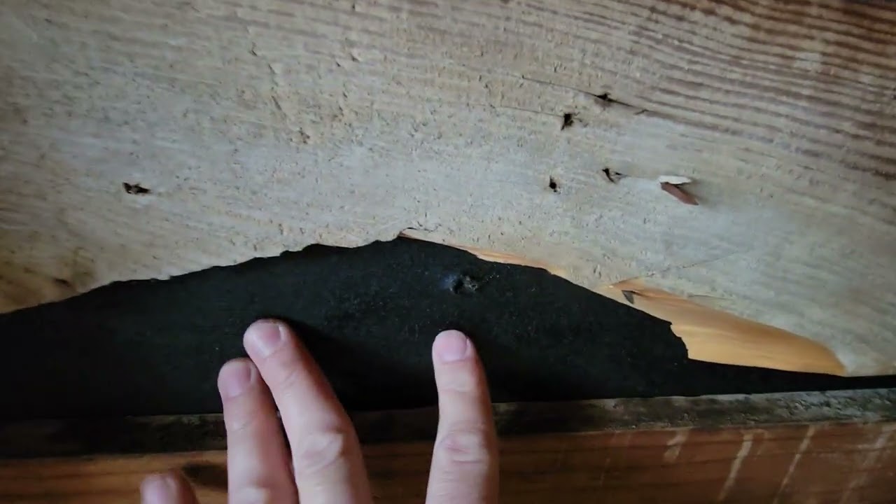 Shingles blowing off roof - Roof decking boards gapped and cracked