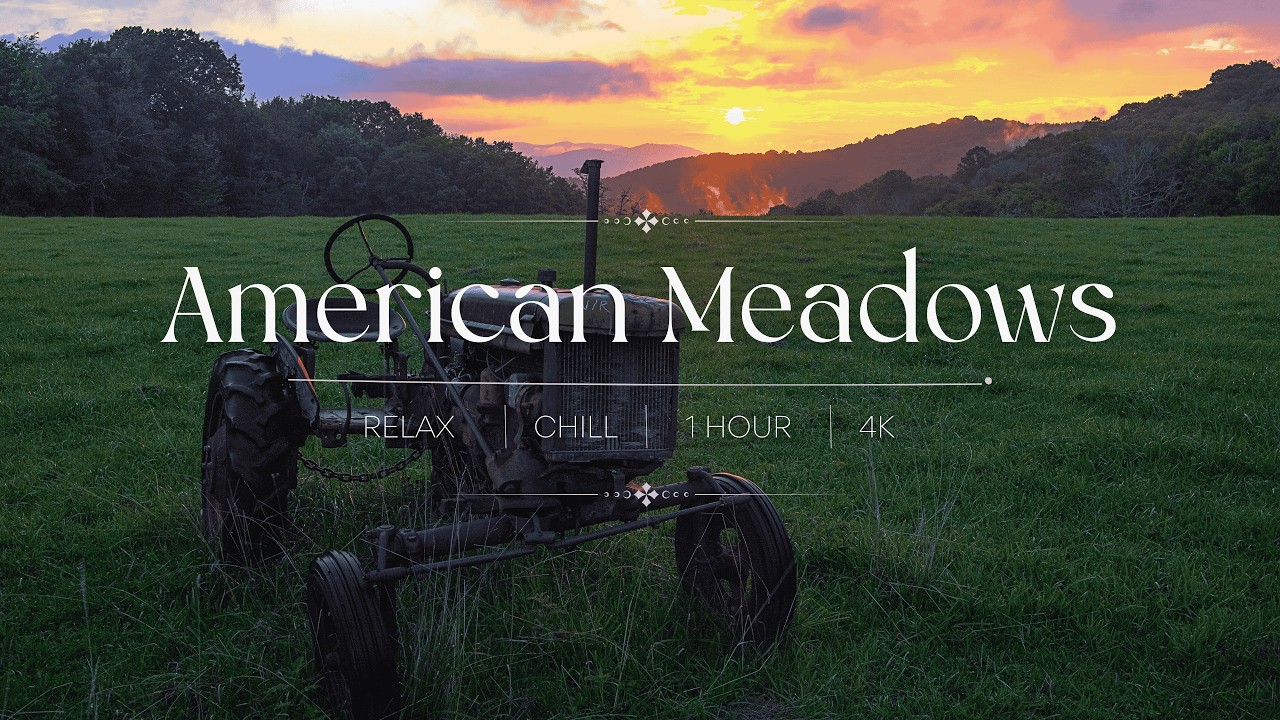 American Meadows | 1 Hour of Peaceful Heartland Melodies