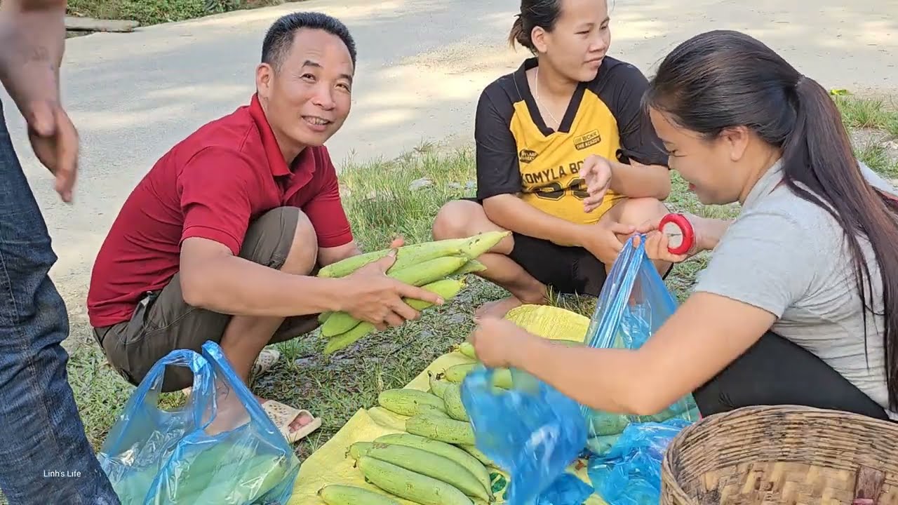 Green Luffa and Pickled Eggplant Harvesting and Recipes, Preservation - Linh's Life