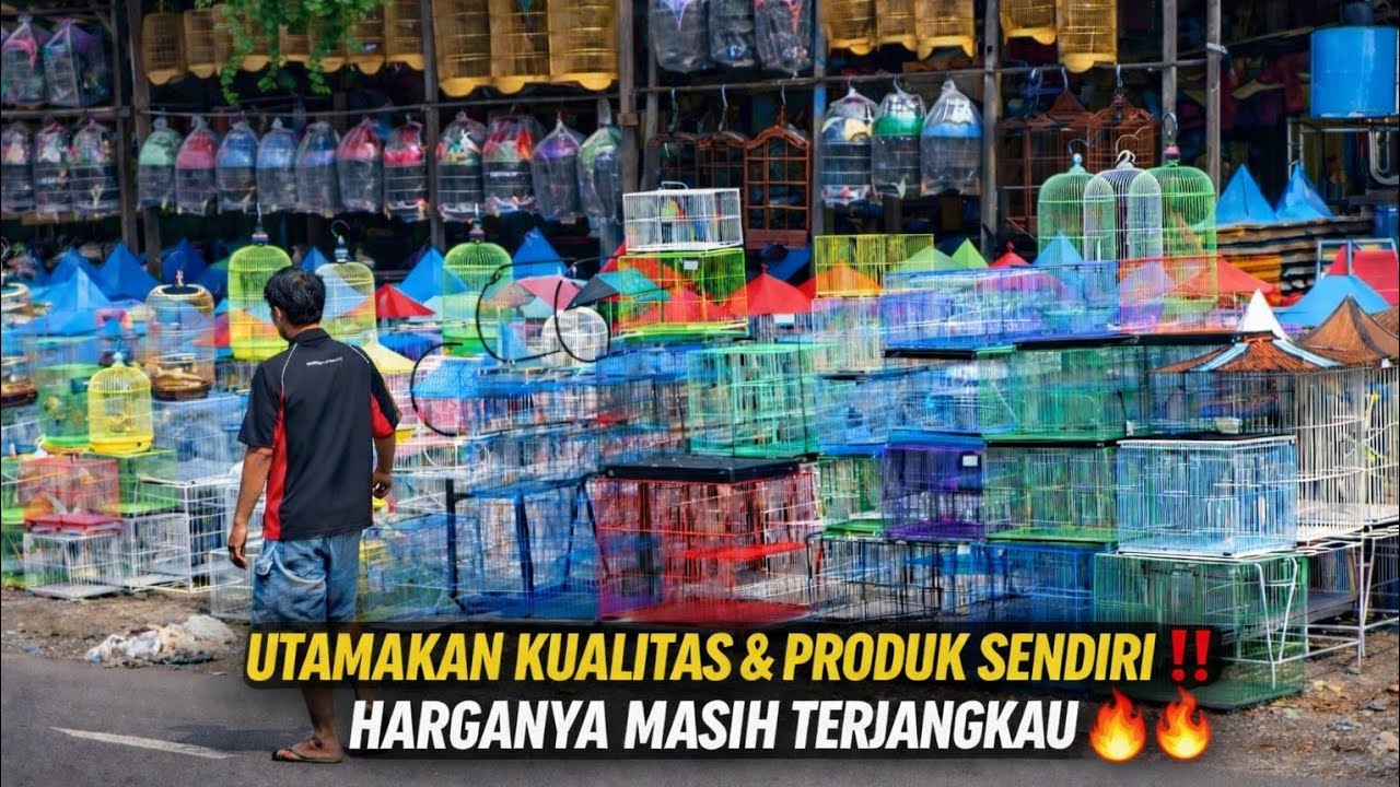 UPDATE HARGA KANDANG/SANGKAR BURUNG TERBARU 2026 DI PASAR PRAMUKA KIOS YOGI HOMEBIRD