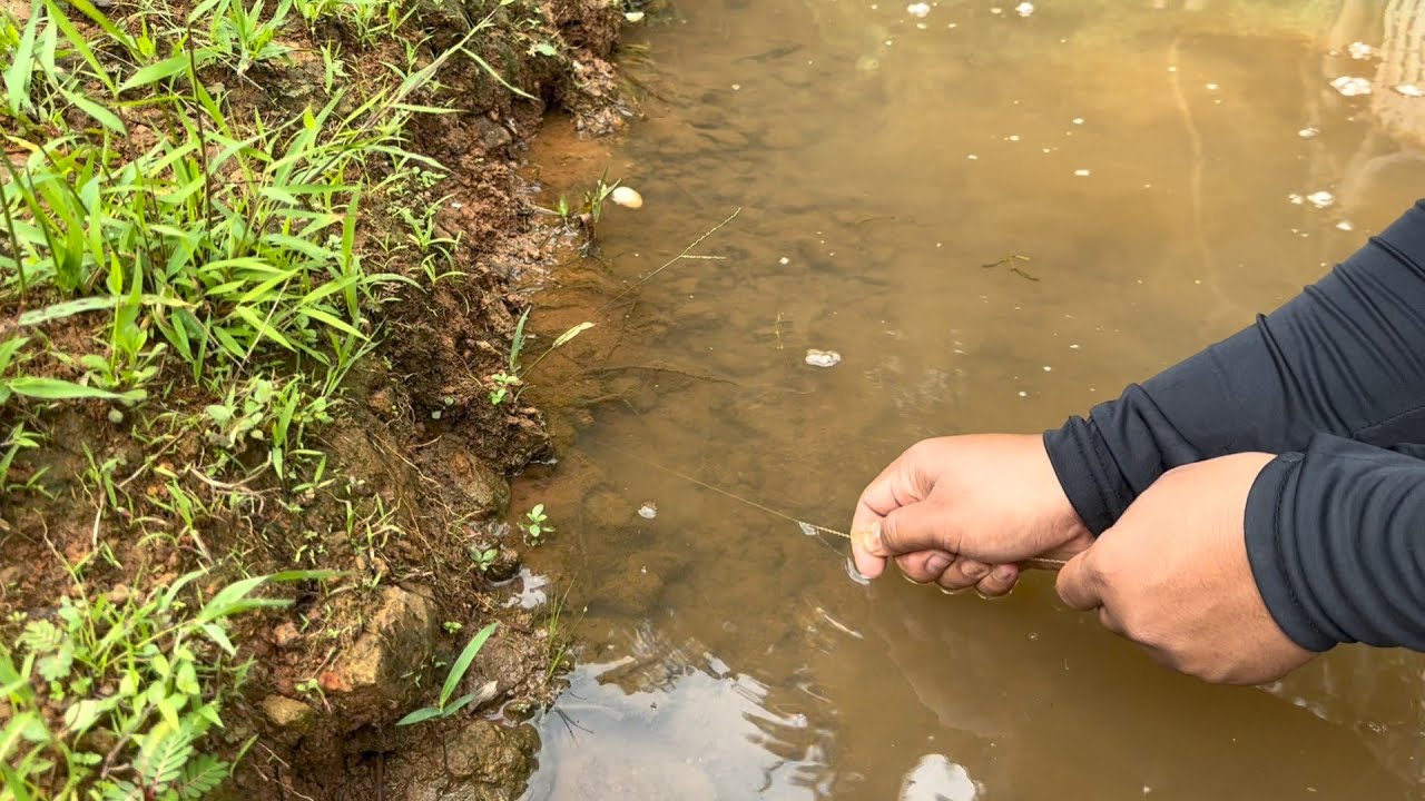 LUBANGNYA CANTIK SAMBARANNYA BIKIN ASYIK‼️MANCING BELUT BESAR
