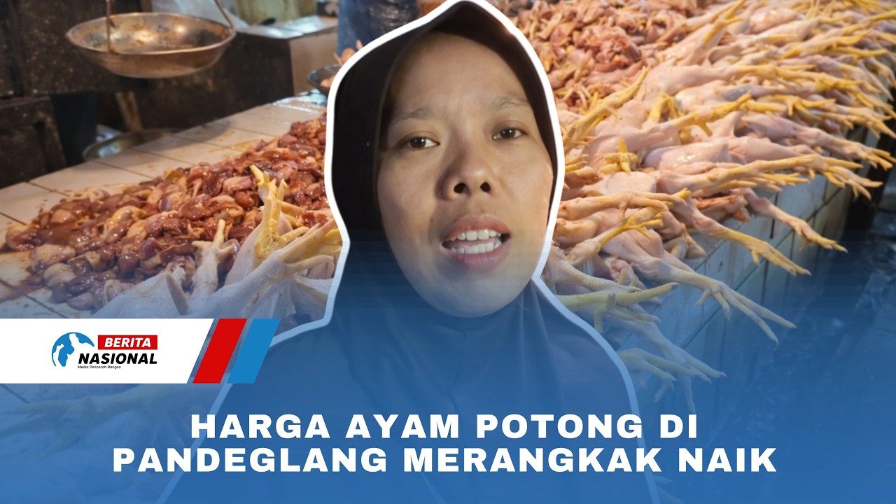 Harga Ayam Potong di Pandeglang Merangkak Naik