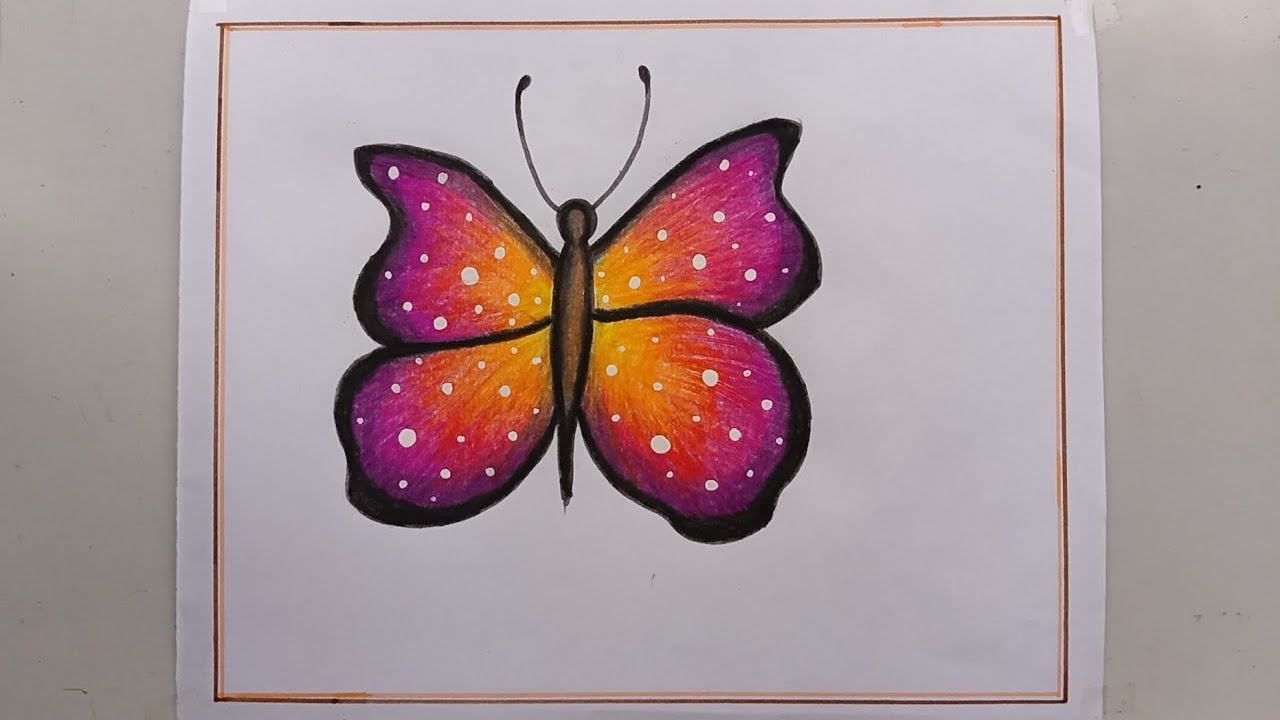 Easy and Simple Butterfly Drawing। Butterfly Drawing Easy। Colourful Butterfly Drawing Step by Step🦋