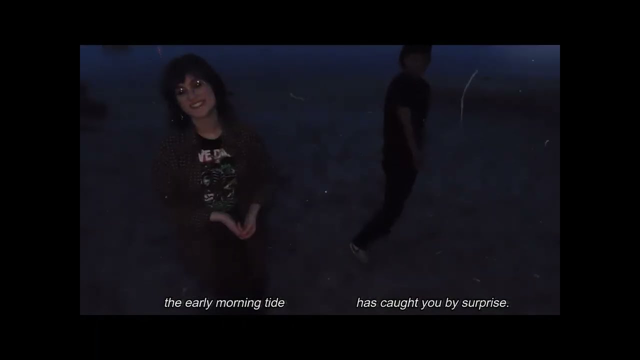 SONIC SEA TURTLES x VIRGINIA'S BASEMENT - EVERYTHING IS CALM. (OFFICIAL MUSIC VDEO)