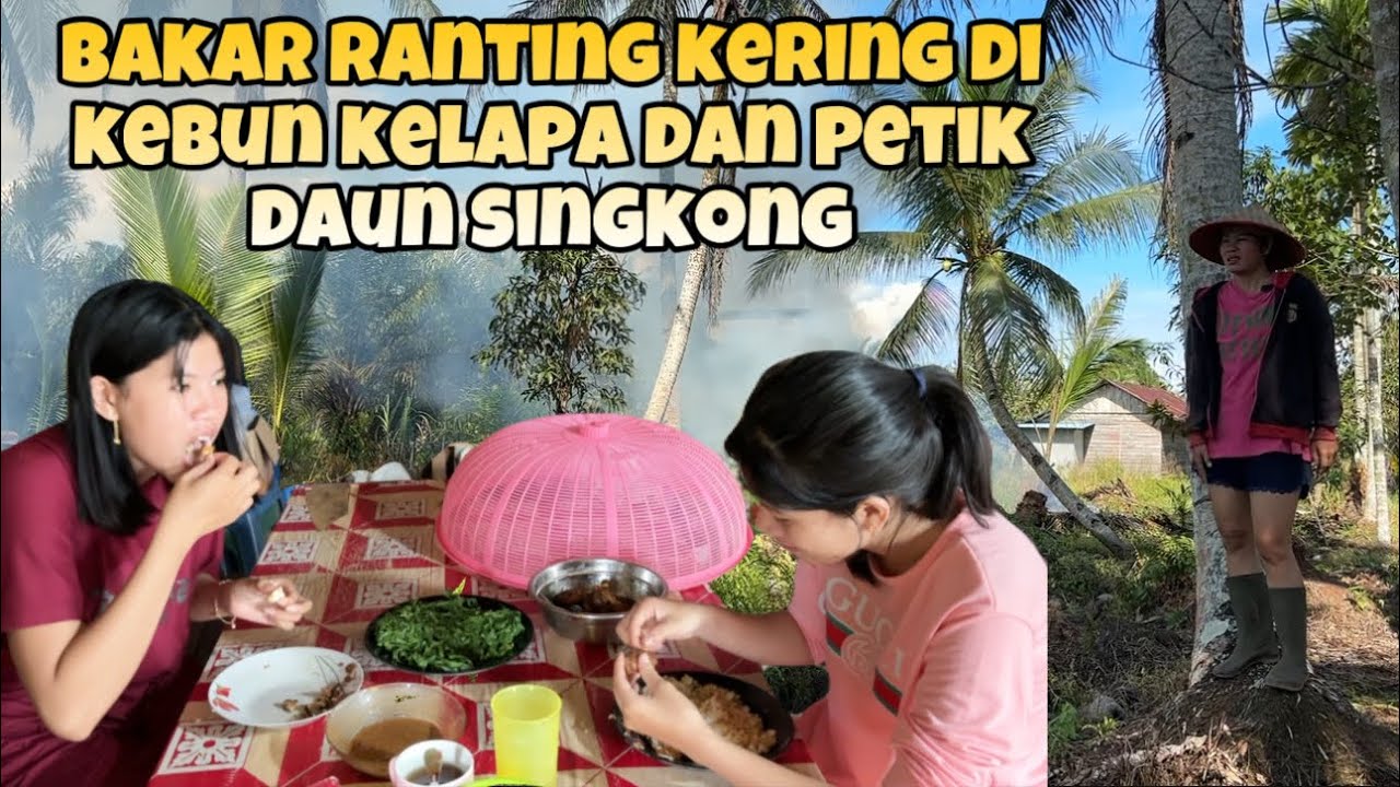 BAKAR RANTING RANTING KERING YANG KAMI KUMPULKAN DAN AMBIL DAUN SINGKING DI KEBUN MERTUA CE DEVI
