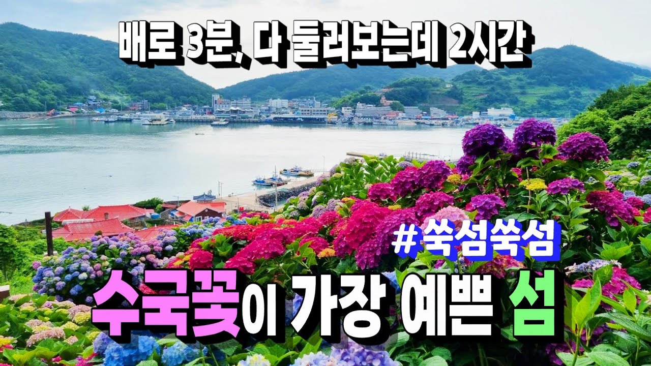 수국꽃이 가장 예쁜 꽃정원 ㅣ 고흥 쑥섬 총정리