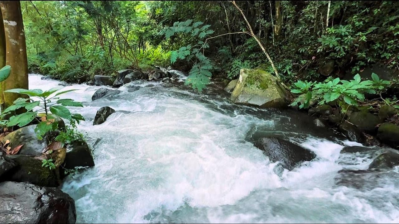 Peaceful River Sounds for Deep Sleep Stress Relief Meditation Relaxation Nature ASMR 12 Hours