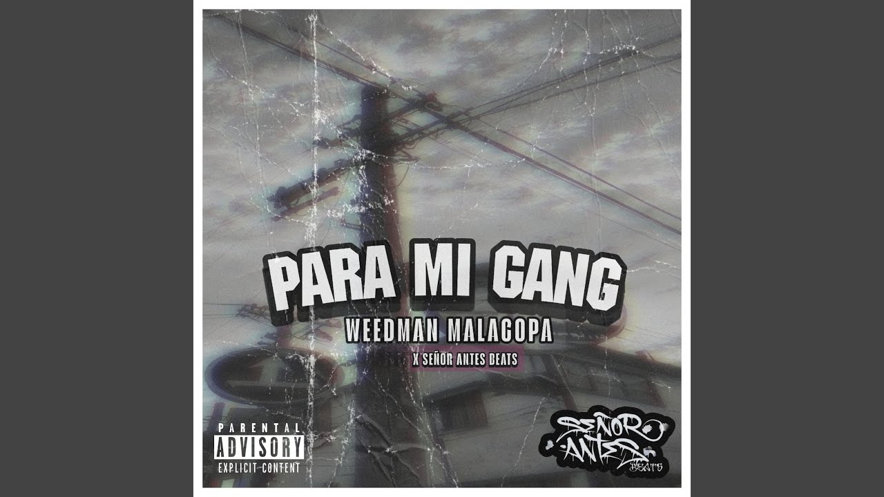 Para Mi Gang