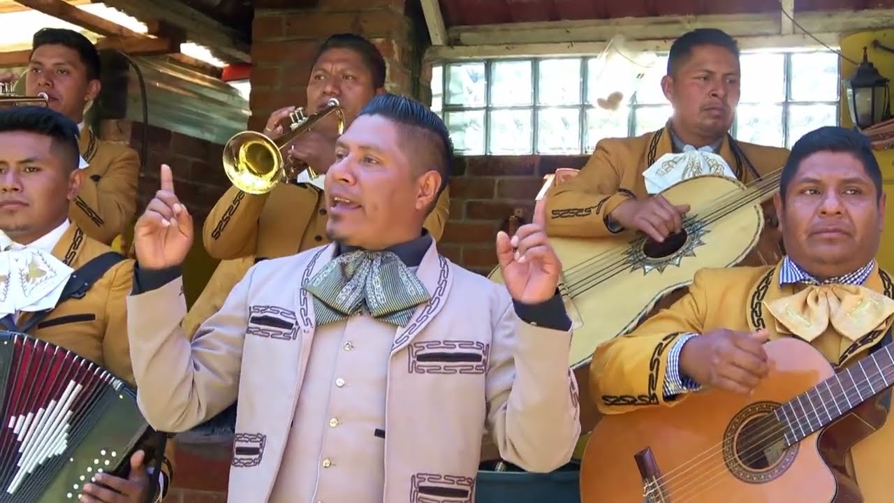 Me dicen de una tierra Mariachi Manantial de Vida 49128765