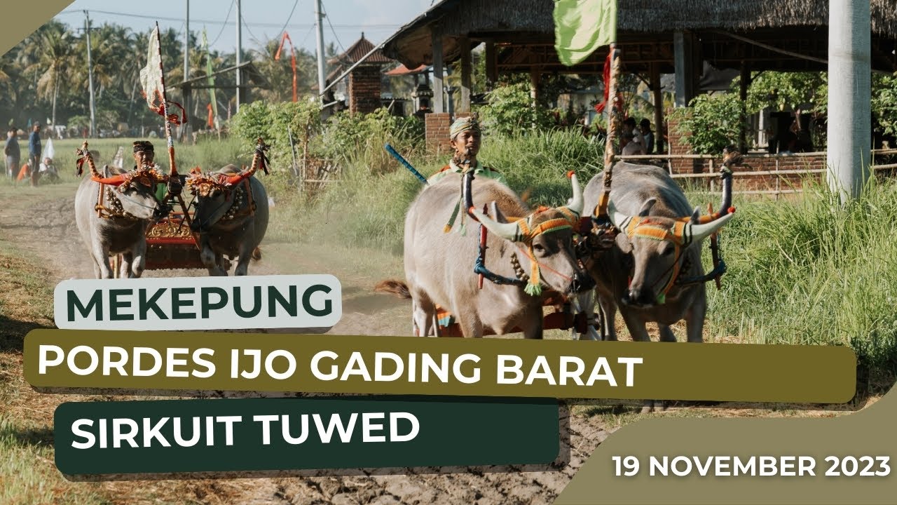 Pordes Ijo Gading Barat