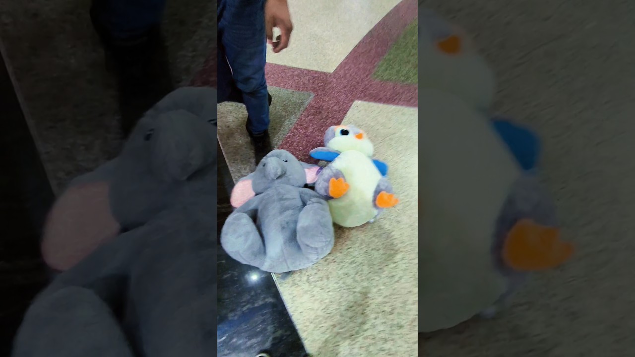 Doble win en La Mu&ntilde;elocos Xtreme pude sacar a un elefante y un ping&uuml;ino #mu&ntilde;elocosxtreme #mu&ntilde;elocos