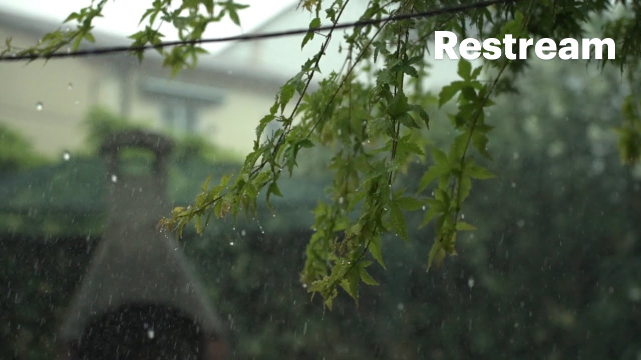 This Rain Feels Different 🌧️ Stay a While