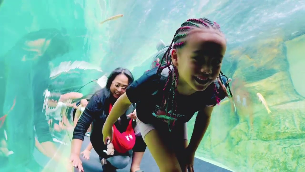 Trails to Antartica, Creepy Crawlies, Philippine Biodome 