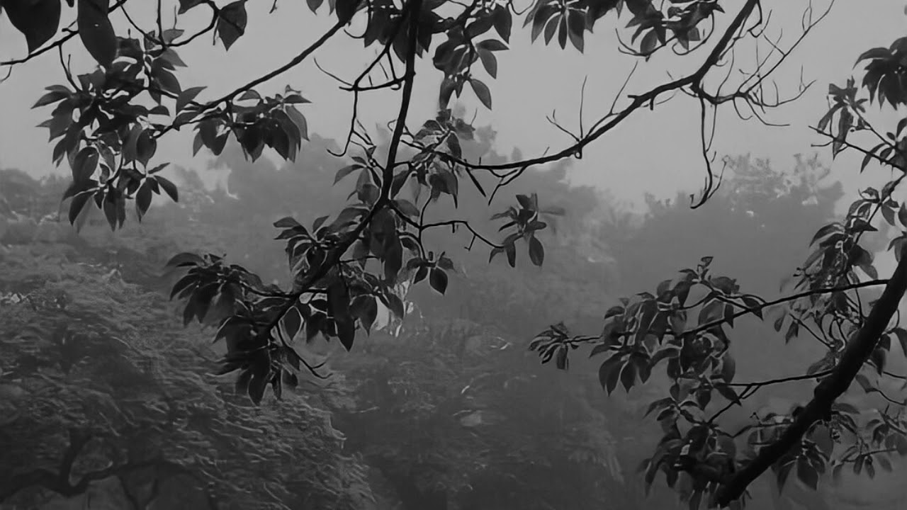 melovin – under the ladder (slowed + reverb)