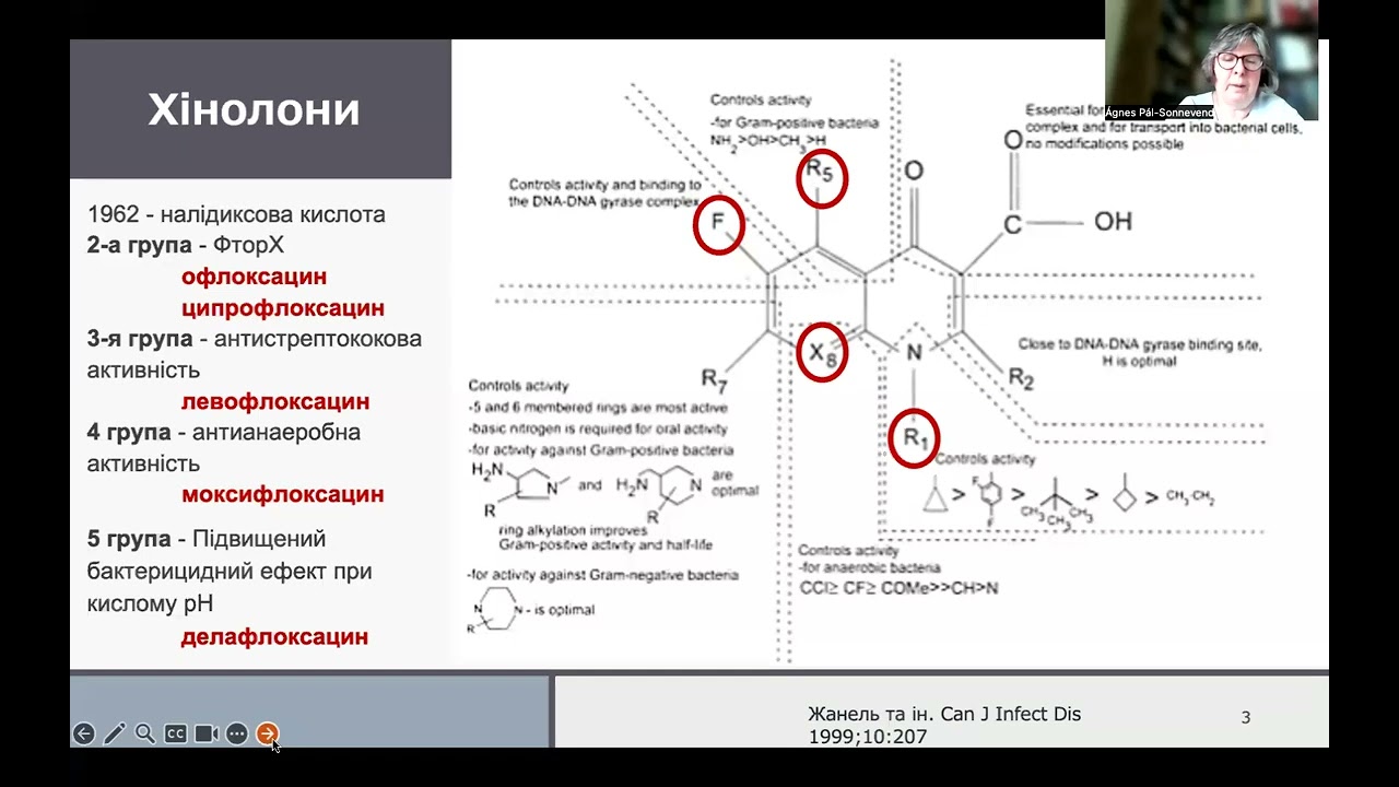 Fluoroquinolones, sulfonamides, trimethoprim, fosfomycin, nitrofurantoin
