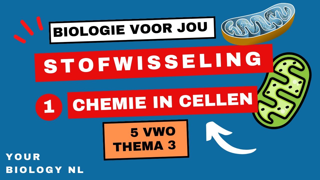 5 vwo | Stofwisseling | 1 | Chemie in de cellen