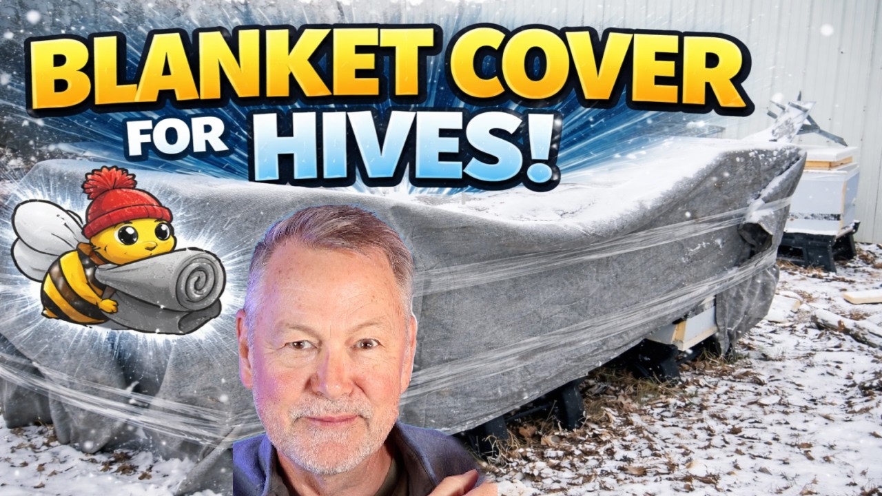 Beekeeping Cold Weather Question: Blankets on Hives—Yes or No?