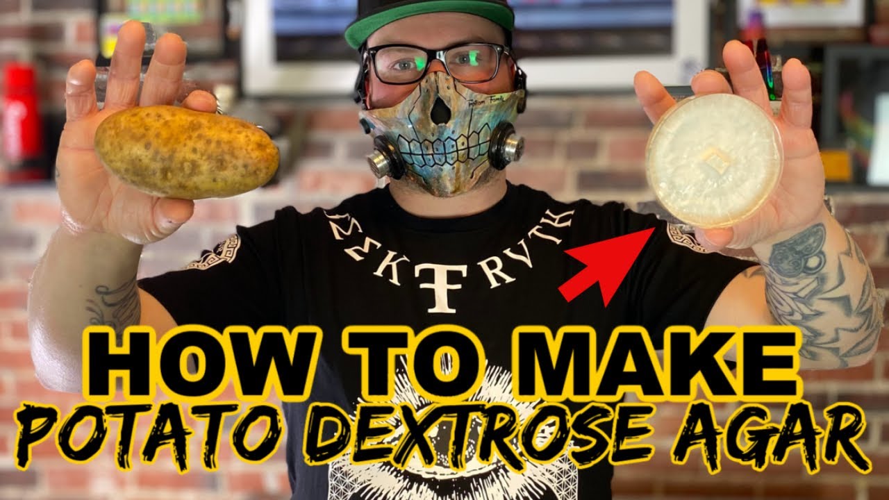 How to make PDA fast and easy (Potato Dextrose Agar)
