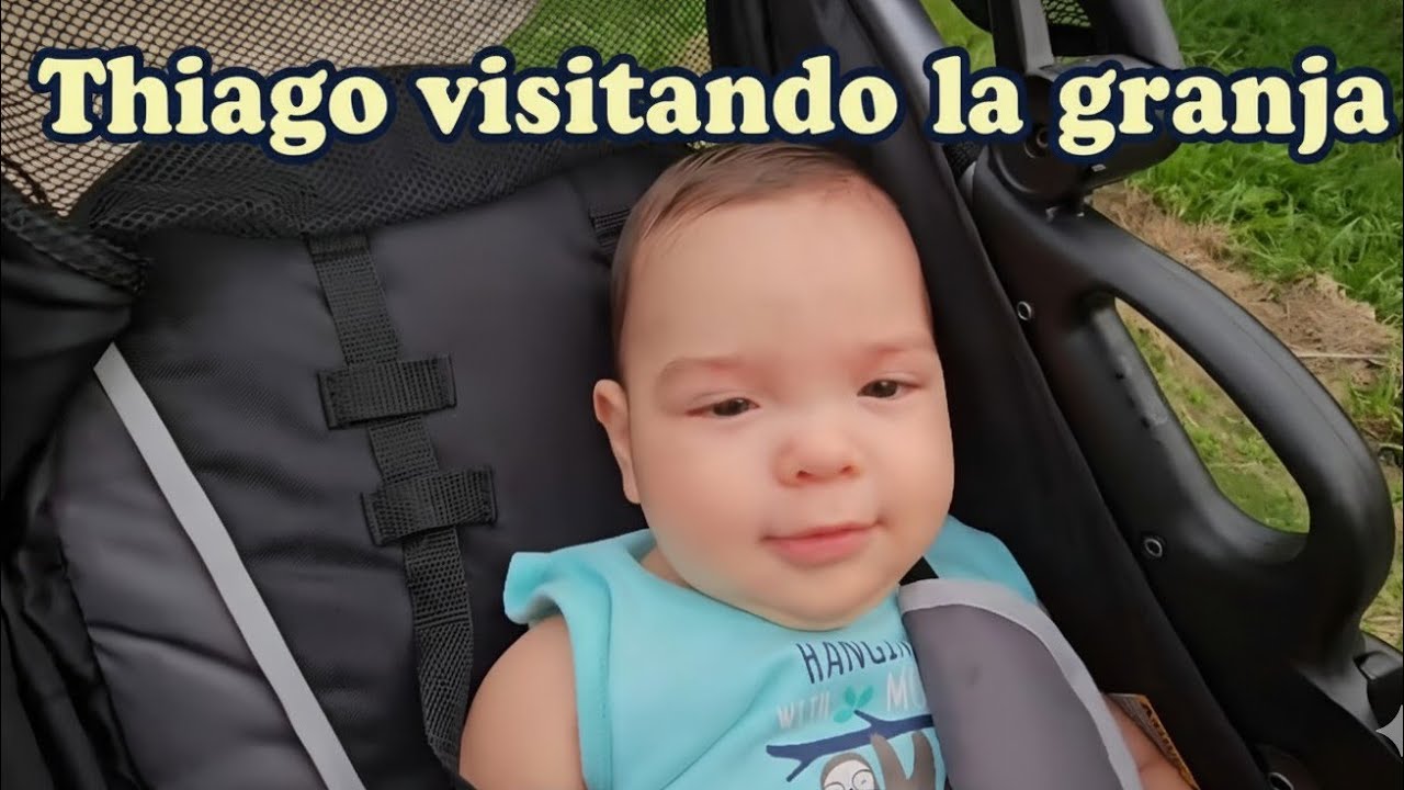 Mostrandole los animalitos a Thiago por primera vez. 