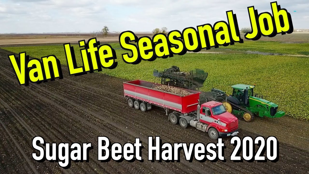 Van Life Seasonal Job - Sugar Beet Harvest 2020