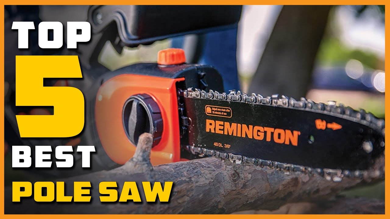 Best Pole Saw in 2024 - Top 5 Pole Saws Review