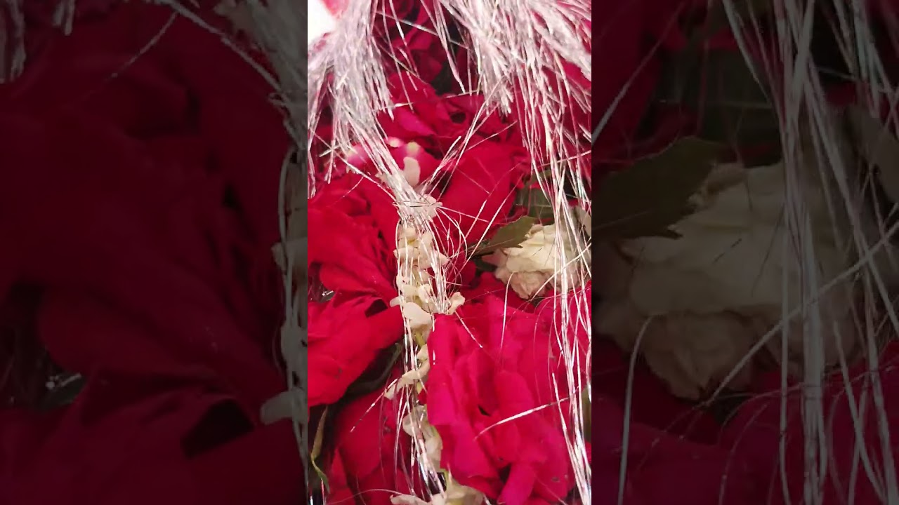 Furkan ki shadi ka Sehra #Sehra #naat #viralvideo