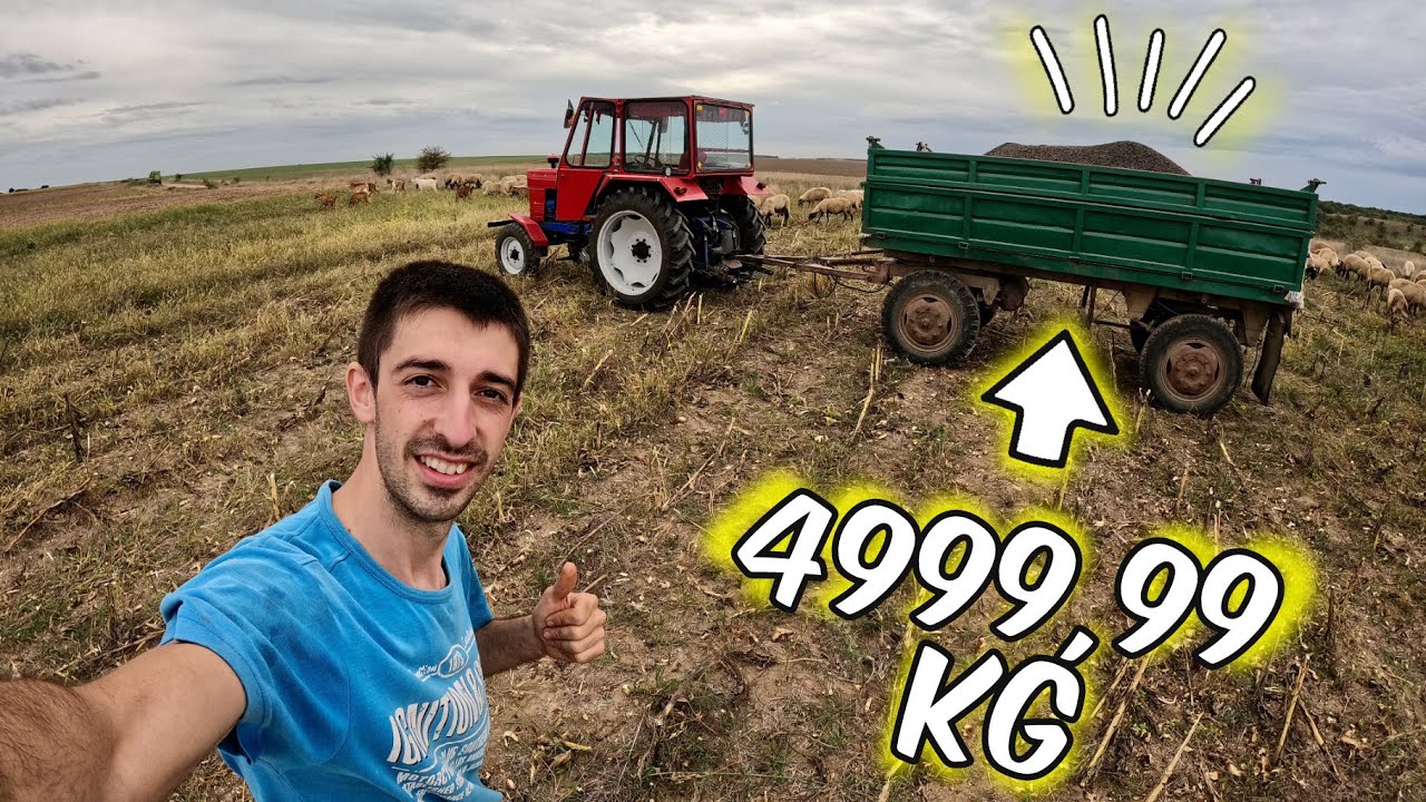 Am RECOLTAT FLOAREA SOARELUI!
